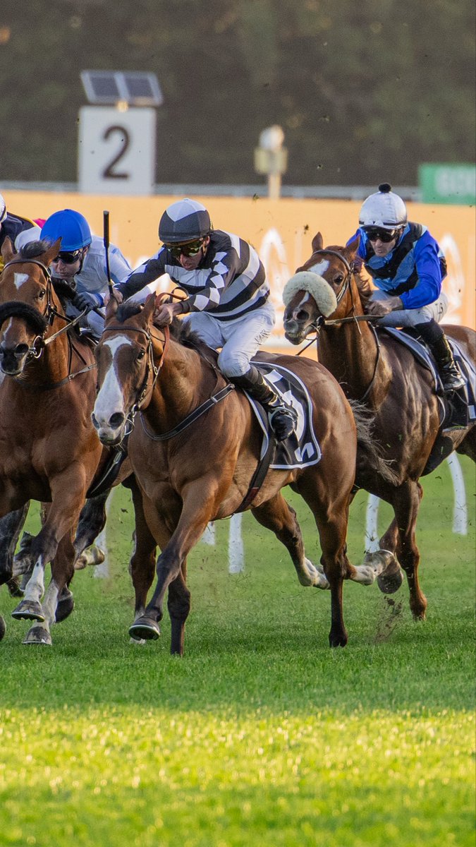 Bjorn Baker Racing tweet media