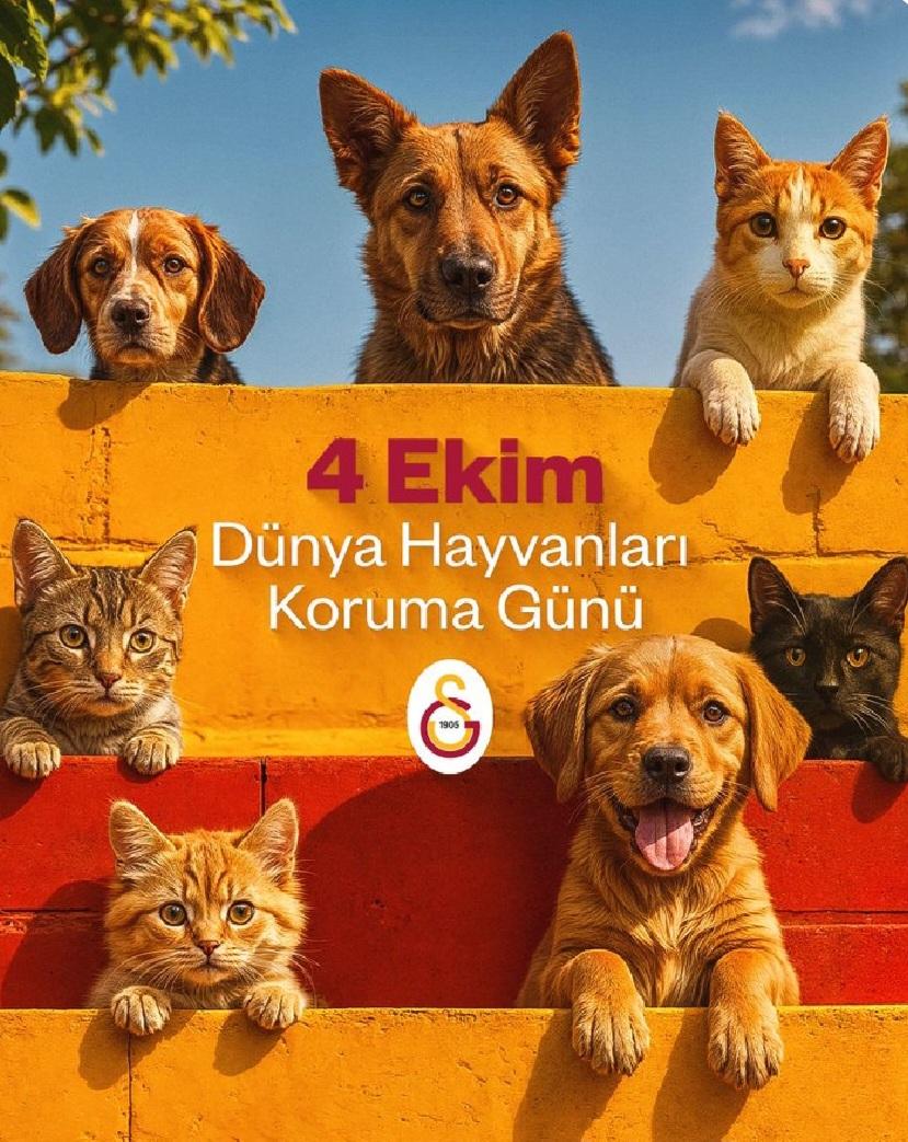 Tüm canlıların yaşam hakkını koruduğumuz bir dünya dileğiyle
#04EkimHayvanlarıKorumaGünü