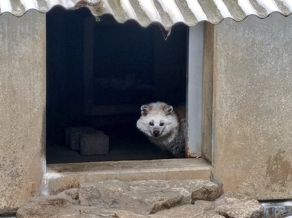 ムクくん…