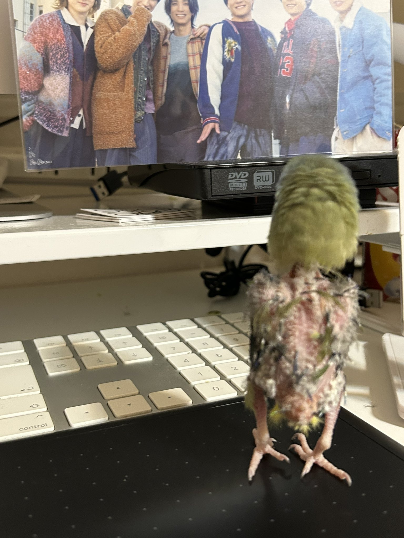 SixTONES まとめ売り　オマケつき SixTONES CDまとめ売り オマケ付き