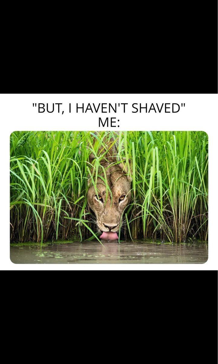 ☢Dave_O💜 (@master_debate) on Twitter photo 