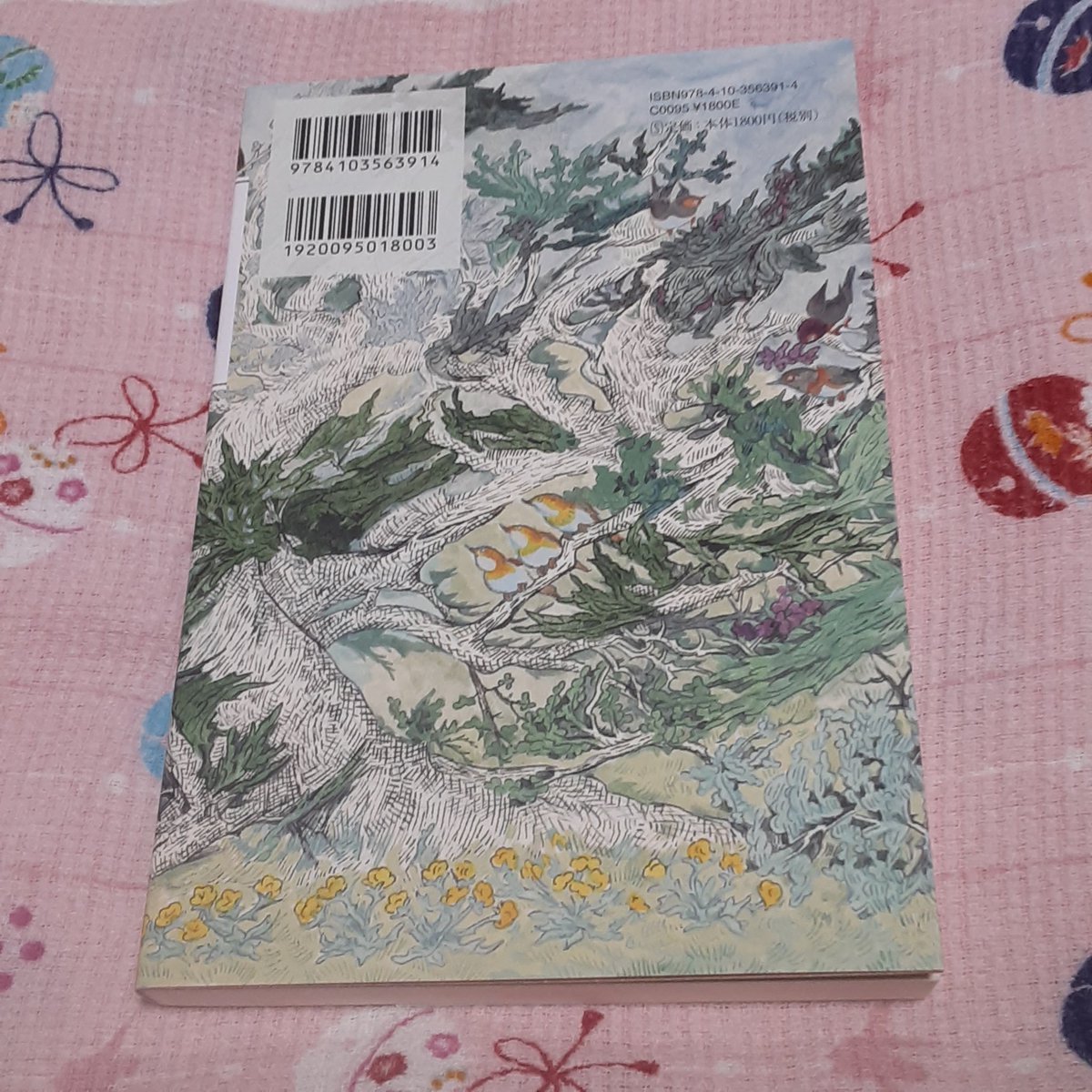 わたしの美しい戦場