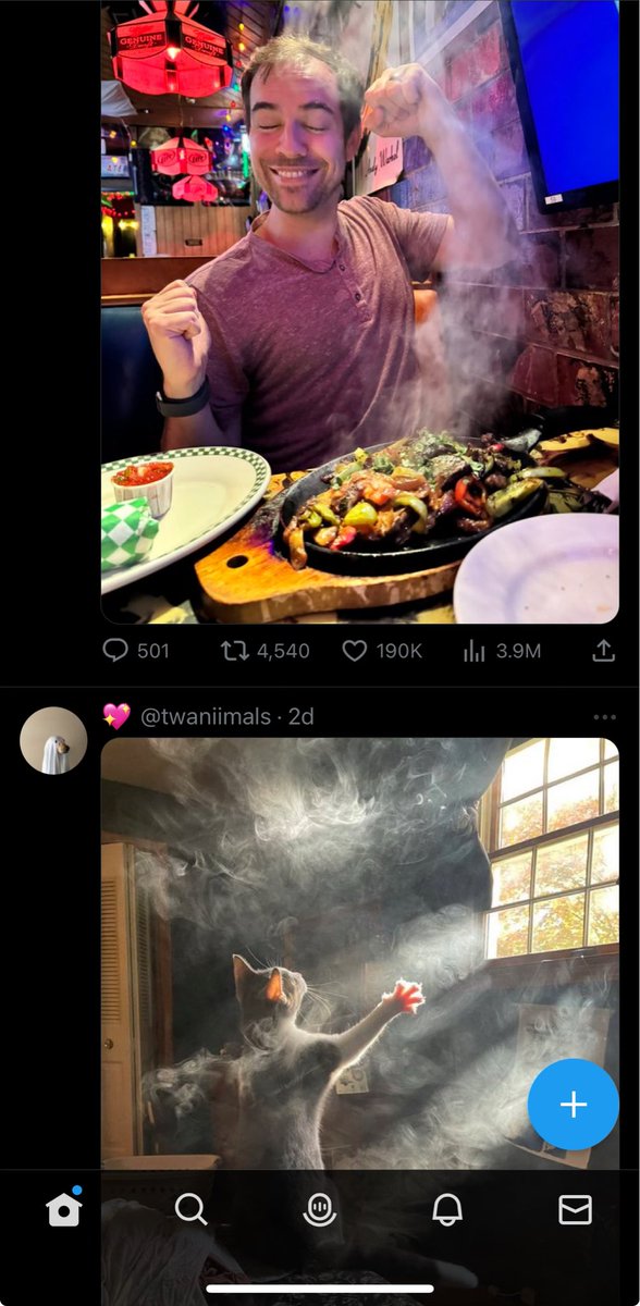 sarah ⚢ tweet media