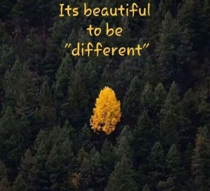TrainingMindful's tweet image. #beautiful #BeDifferent