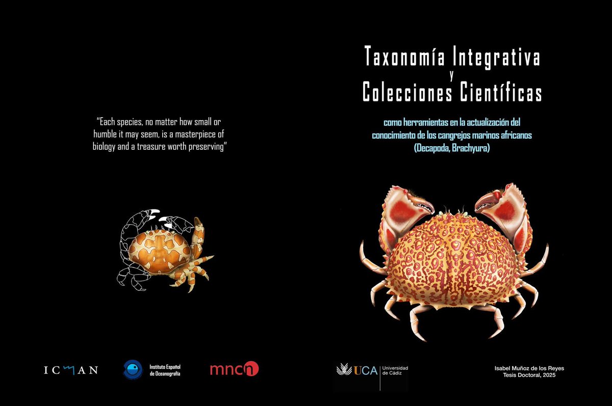 Pues ya llegó y pasó!! 😅Ayer se cerró un ciclo muy largo,  y ya puedo decir que soy Doctora! 🤓
Y ahora seguir!🦀🦀🦀
....y Viva Palestina Libre!