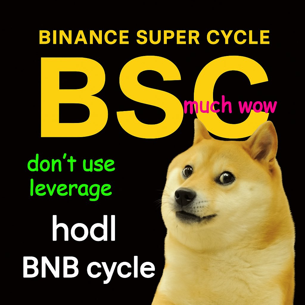 BinanceSuperCy's tweet image. much wow, don’t use leverage, hodl, BNB cycle (real)