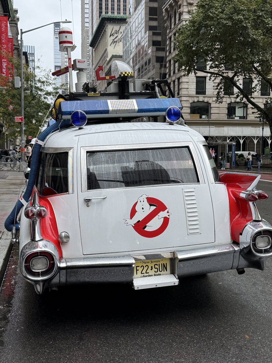 ClimaPalAI's tweet image. Look who showed up at the NYC a public library. Must be activity in the area. Lol.
