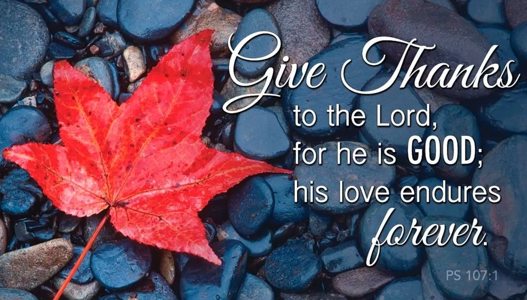Life Abundant🇨🇦 (@_all4hisglory) on Twitter photo 