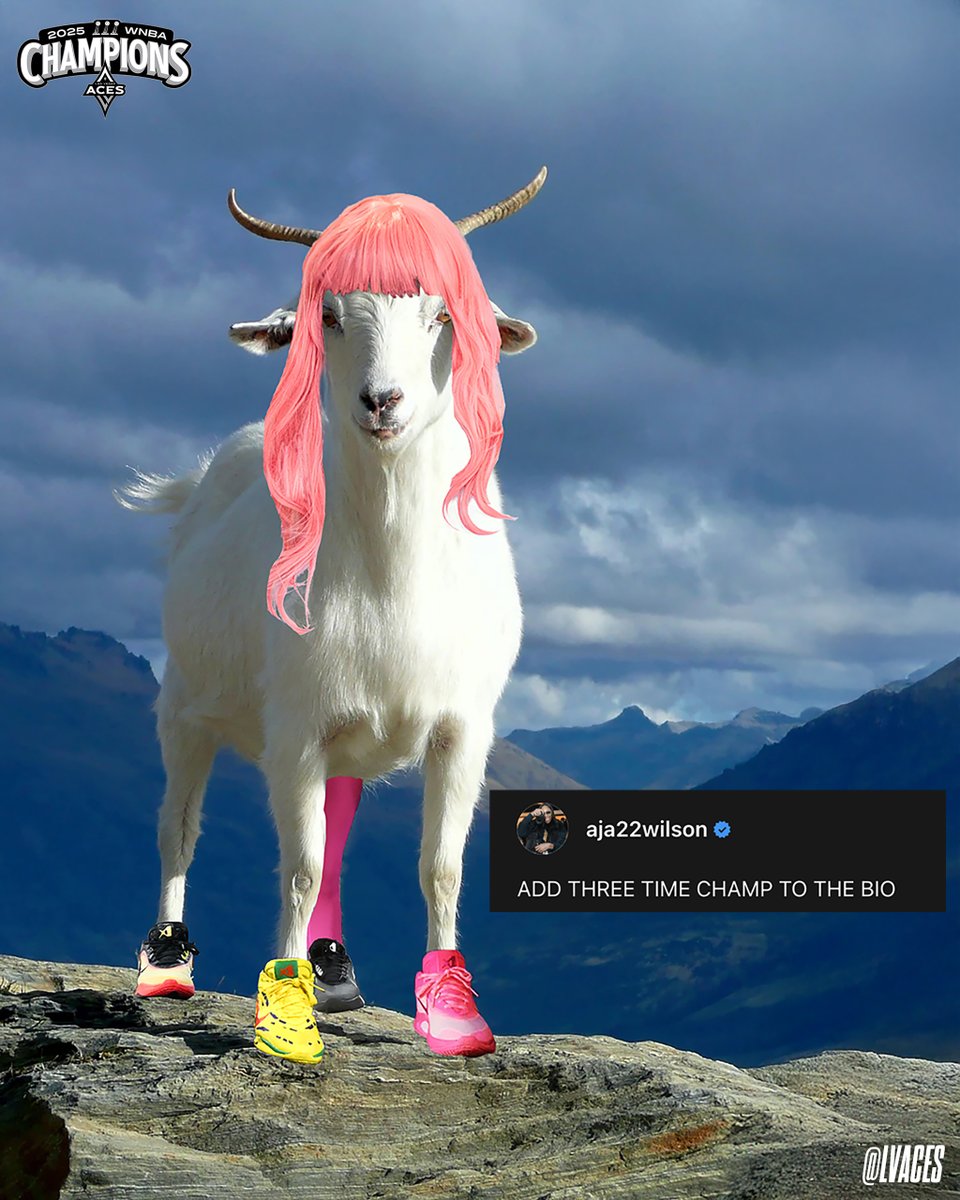 Las Vegas Aces tweet media