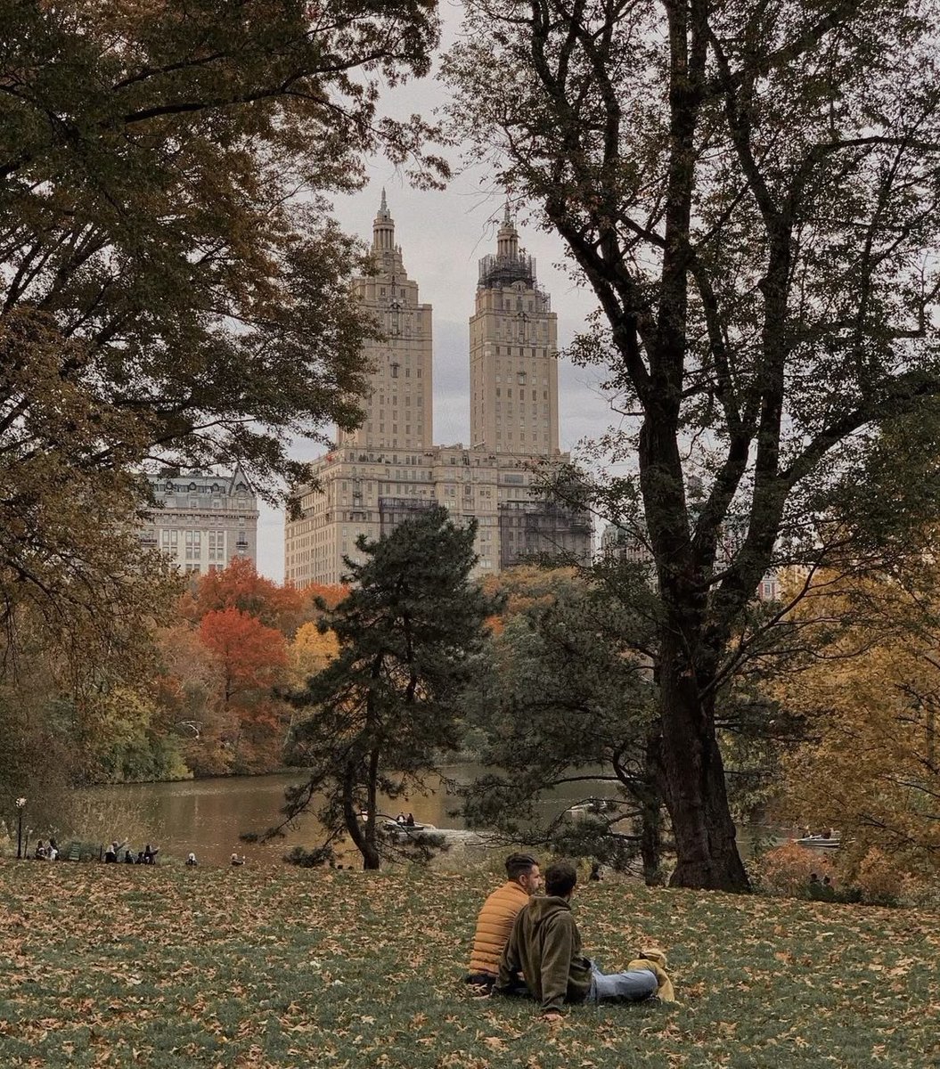 etherealdior's tweet photo. fall in new york https://t.co/UiQbMawHDP