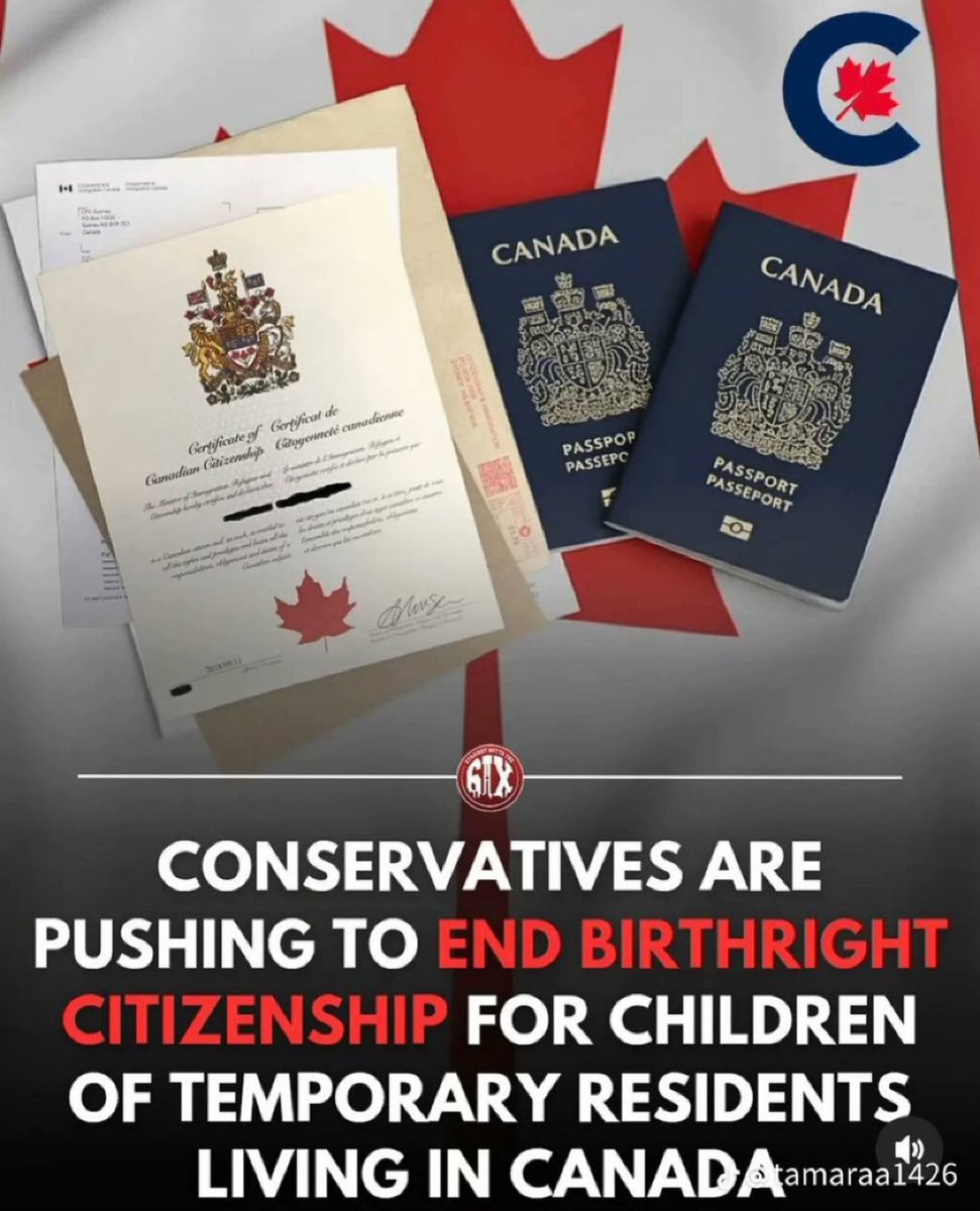 Concern70732755's tweet image. Are you standing up against birthright citizenship ??