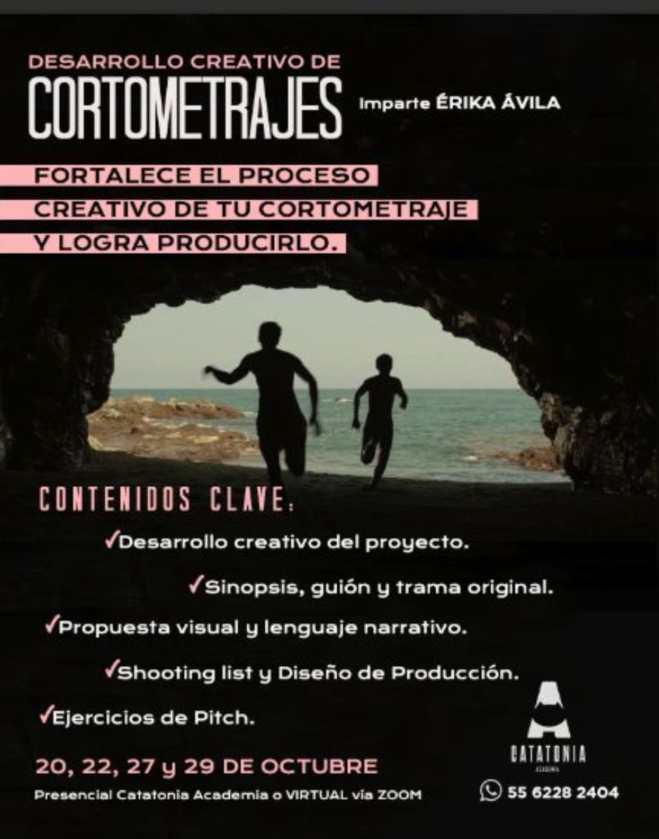 Erika Avila tweet media