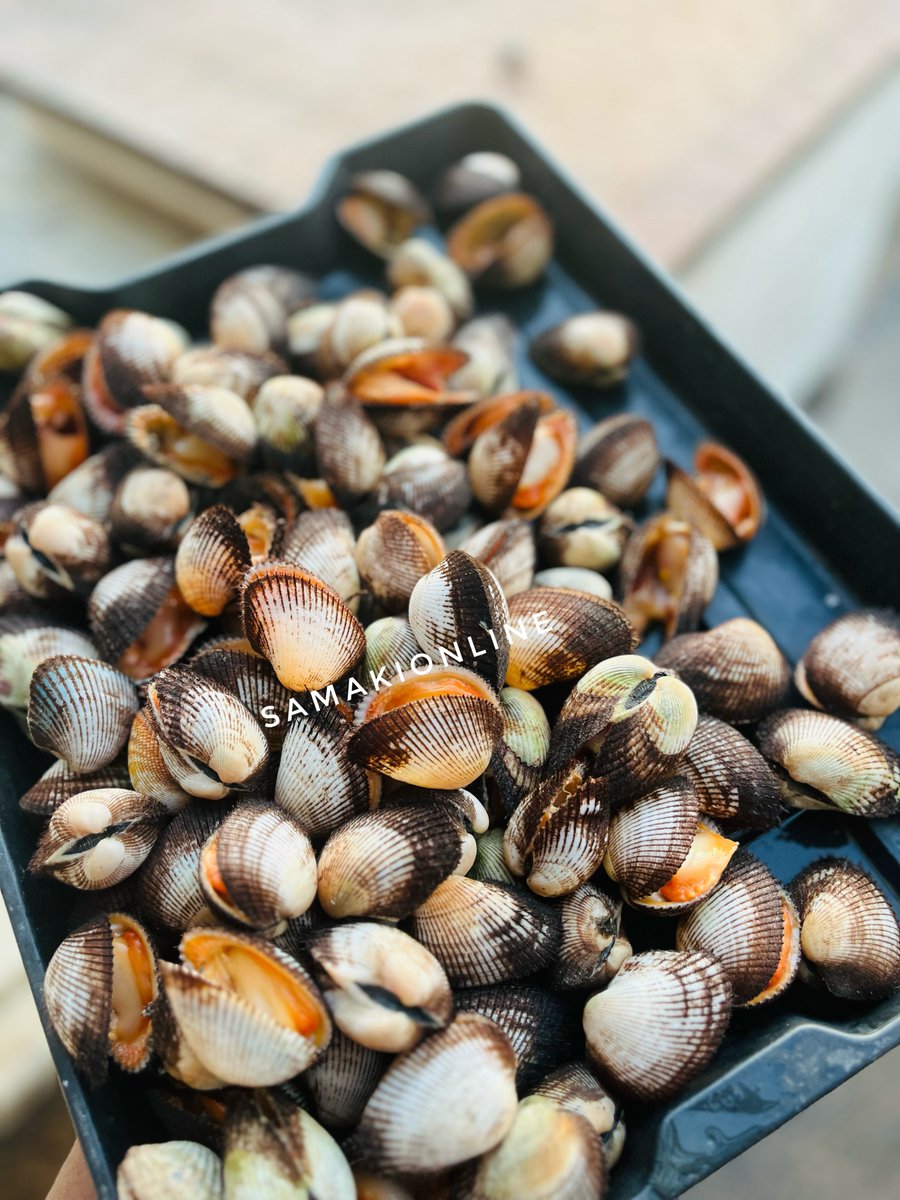 SamakiOnline's tweet photo. Your fresh dose of Omega-3 just landed!
Premium Clams🐚ocean-fresh,rich in flavor & full of nutrients NOW available at Tsh 12,000 per kg (with shell).
Taste the sea’s natural goodness straight from the ocean to your plate.
#FreshFromTheOcean 🌊
#Omega3Power 💪
#PremiumClams 🐚 https://t.co/oW32FIiqRo