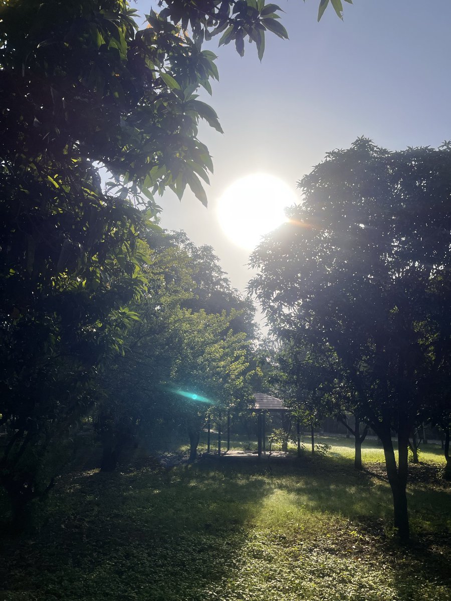 Varun Kapoor tweet media