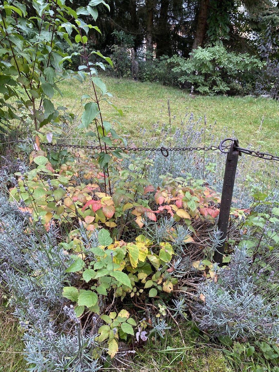 Von Herzen habt Dank für Eure RT, Likes und Kommentare ! Und für Eure Ehrlichkeit! Schlaft gut! Bis morgen!