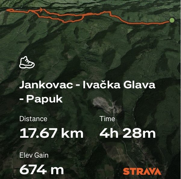 Renato Fajdiga tweet media