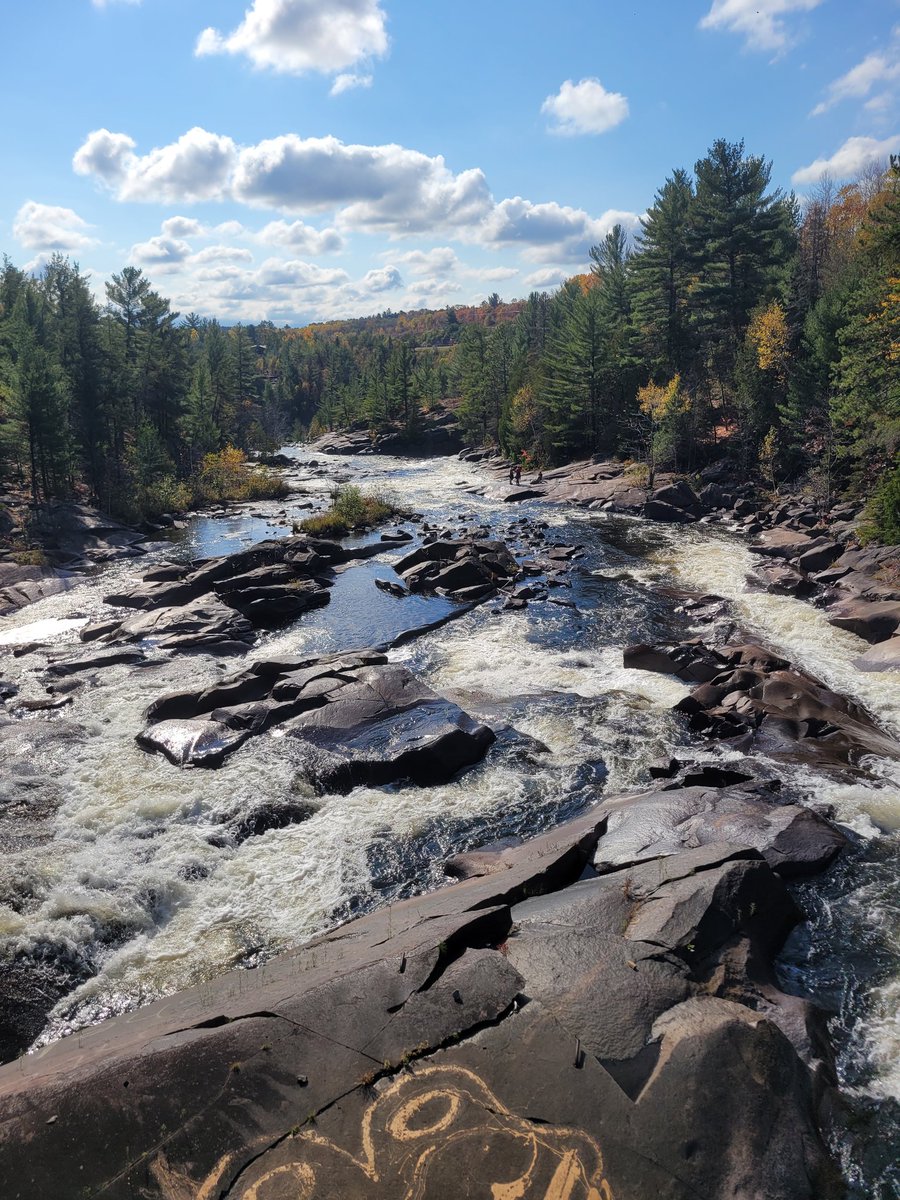 Gigantor1982's tweet image. Get outside!
It&apos;s a gorgeous day! 😎