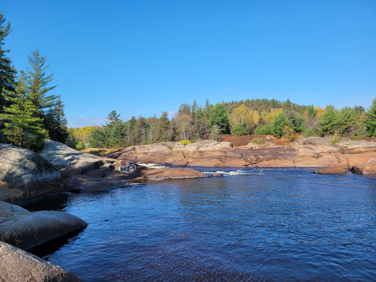 Gigantor1982's tweet image. Get outside!
It&apos;s a gorgeous day! 😎