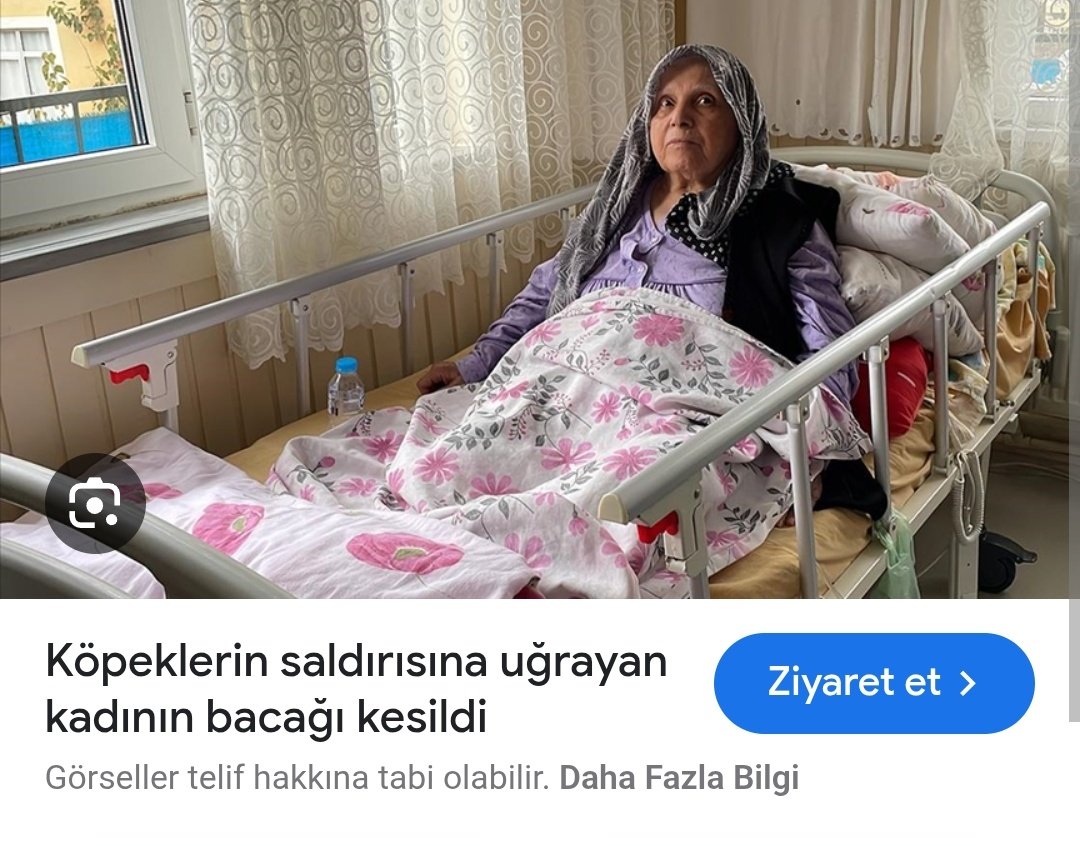 <a href="/sarseven/">Serdar Arseven</a> Cumhurbaşkanı başıboş köpek uyarıları yaparken, <a href="/Akparti/">AK Parti</a> vekili Müşerref Tuba hanımla beraber o meşhur teknede sanat sepetle, panter emellerin köpeklerine boğaz turu attırıyordu.
80 yaşında bir teyze Üsküdar'da saldırıya uğradığı, bacağı kesildiği dönemlerde.
Beraber candost