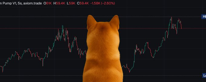 xobenaaa's tweet image. Let's run it $back
CA: 4gqH4P6zaDoQkeoikw14GZWdVC1MyketpuroRpTVpump