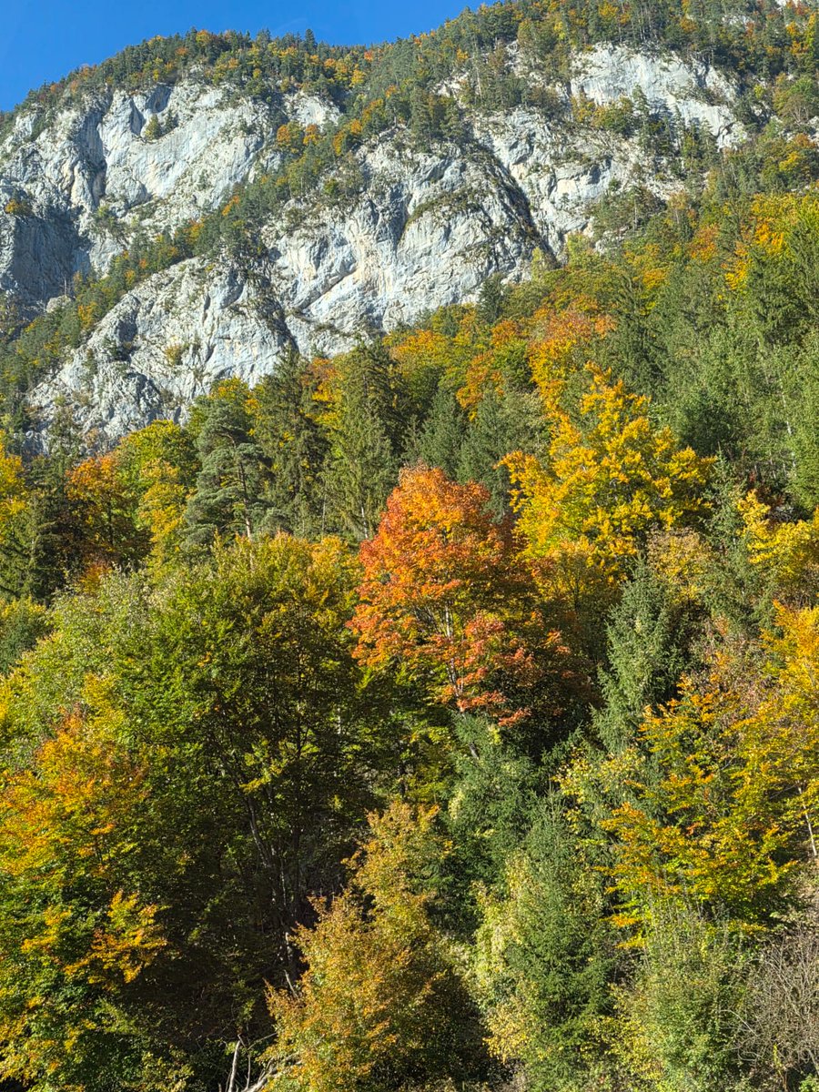 SSchnuffel's tweet image. Panorama Boltigen #Schweiz 
#Switzerland  #Natur