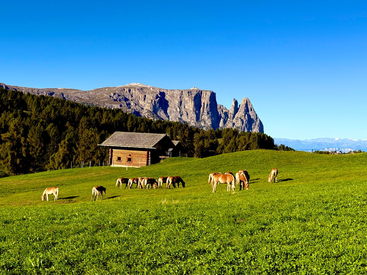 StackAndQueue's tweet image. The 🇮🇹 side of Alps