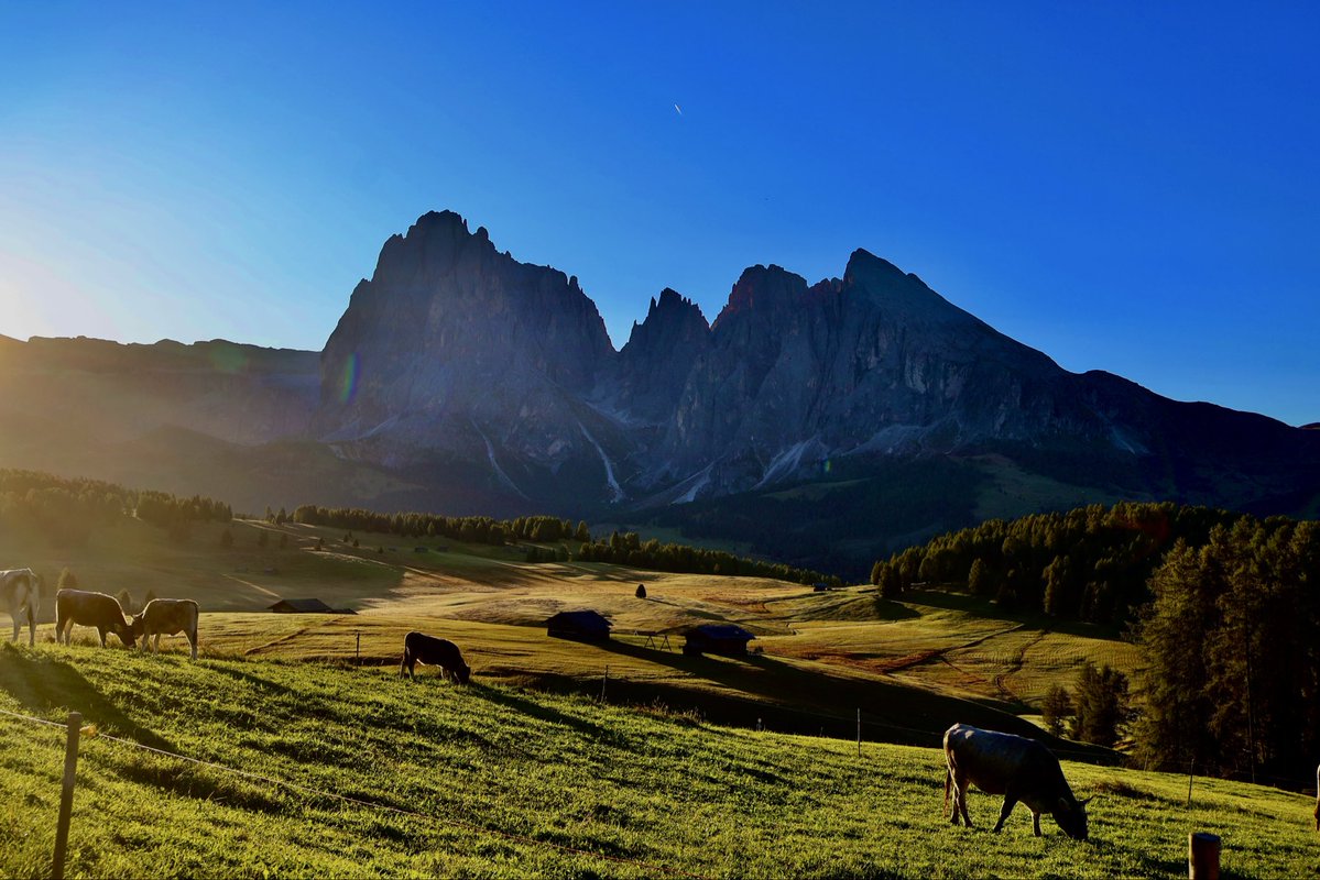StackAndQueue's tweet image. The 🇮🇹 side of Alps