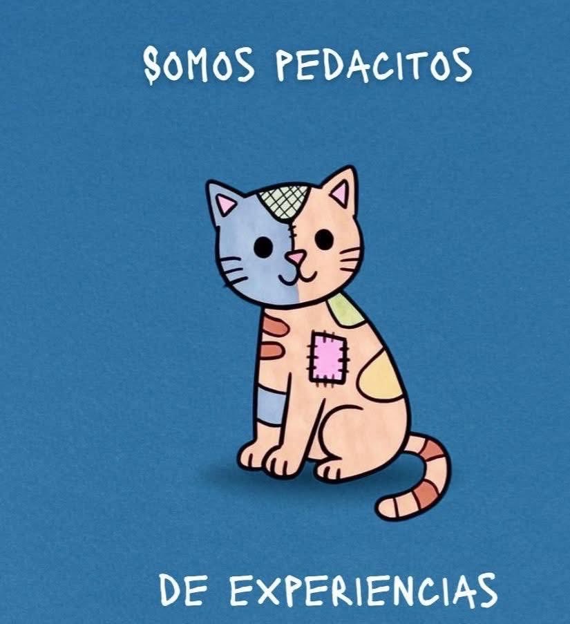 BarcenasBastion's tweet image. #Gato