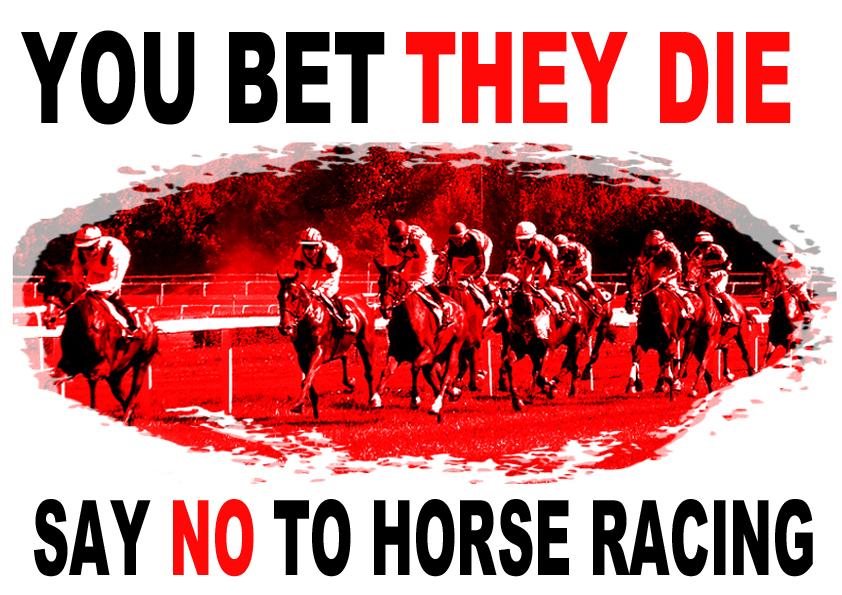Confirmed DEAD: 5 horses used at #Fairyhouse Easter festival 2025:
🐴 7-year-old Inn At The Park
🐴 7-year-old Battle It Out
🐴 5-year-old Imadpour
🐴 10-year-old Street Value
🐴 7-year-old horse Sequestered
banbloodsports.wordpress.com/2021/08/19/hor… #YouBetTheyDie Say NO to horse racing