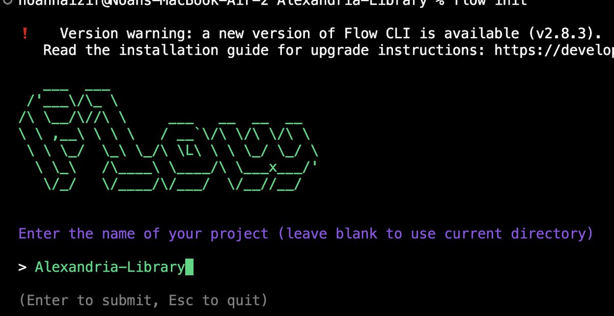 Noah_Overflow's tweet image. Cute update to the @flow_blockchain CLI.