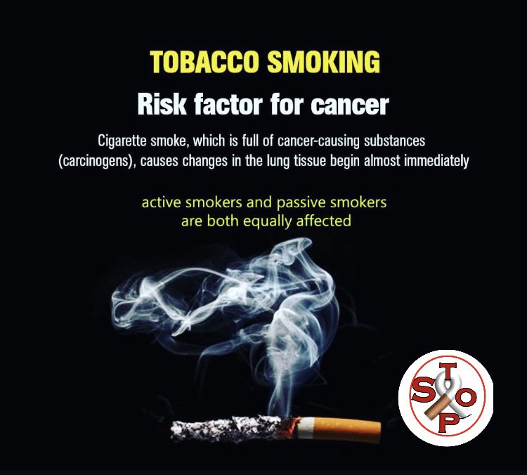 Stopaco1's tweet image. Tobacco is a danger to your health
Take a step today and begin your journey to stop smoking
#SmokeFreeSomaliland #HealthForAll #Stopaco #Somaliland