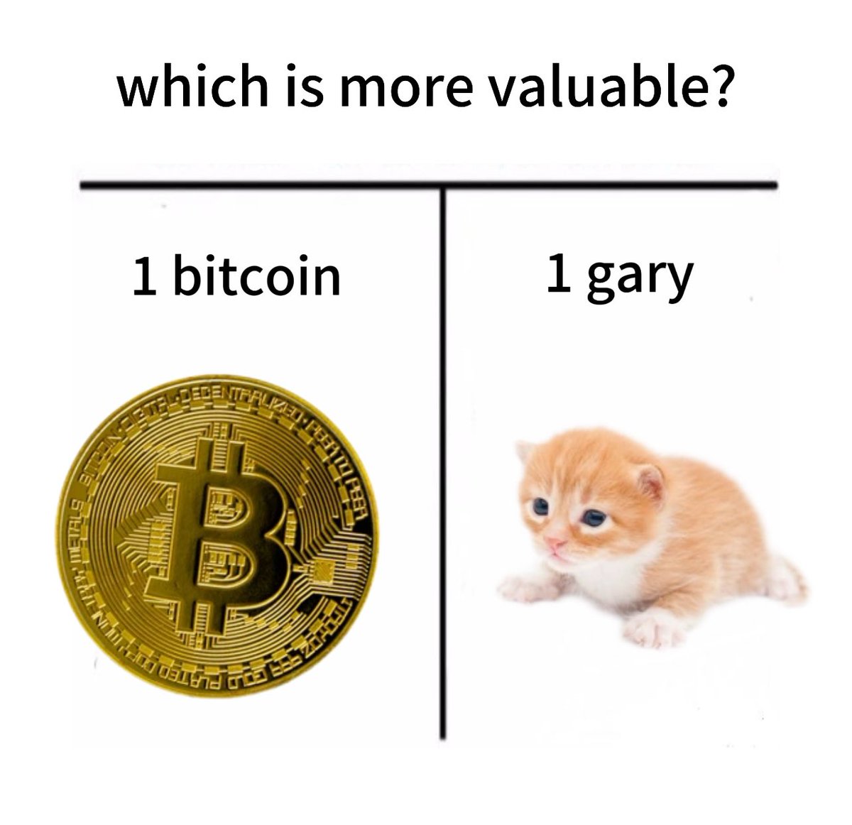 gary tweet media