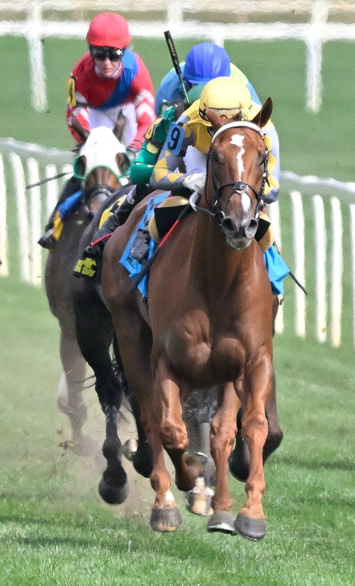 Maryland Horsemen tweet media