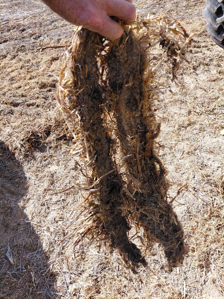 Jim Diamond tweet media