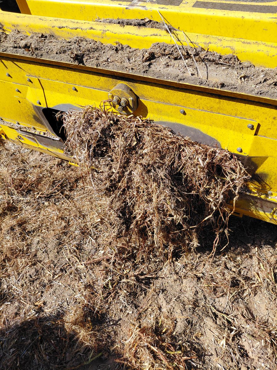 Jim Diamond tweet media