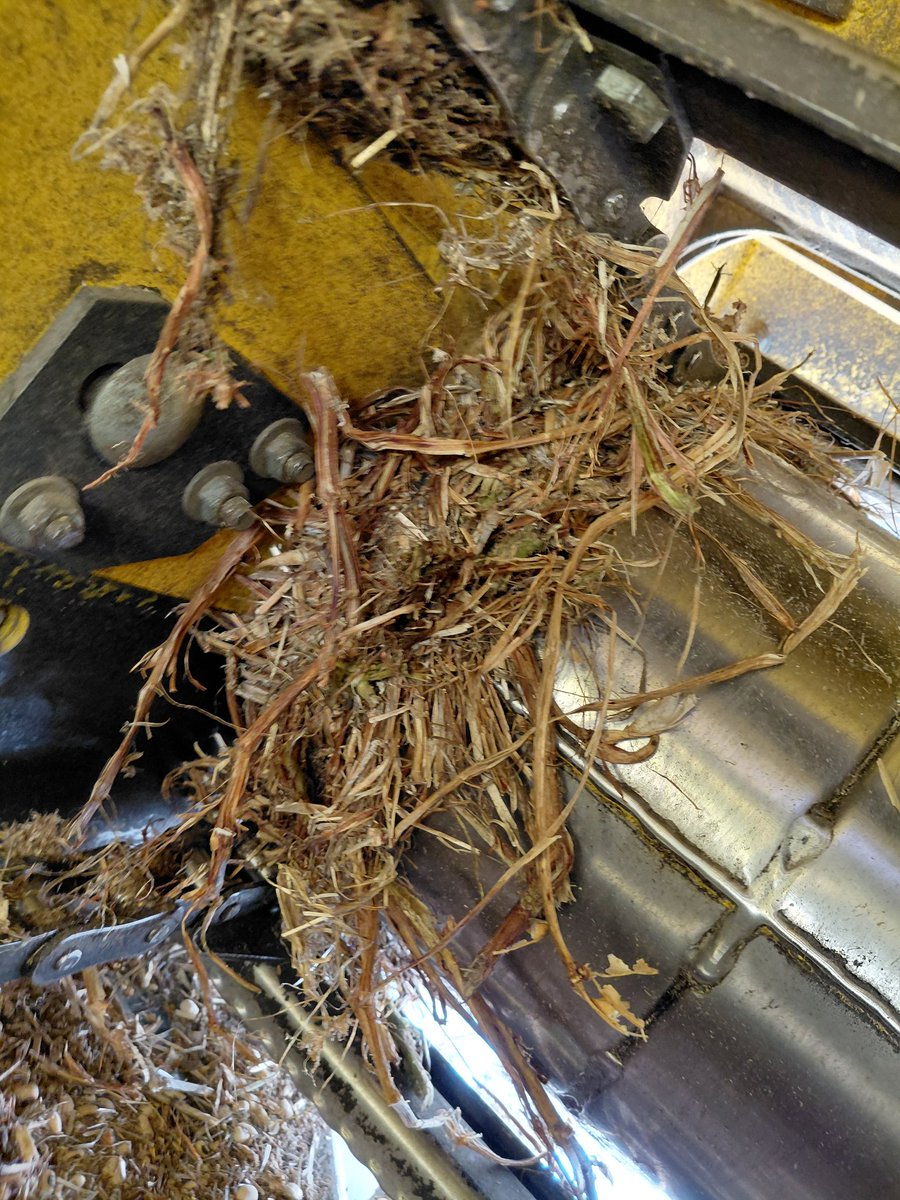 Jim Diamond tweet media