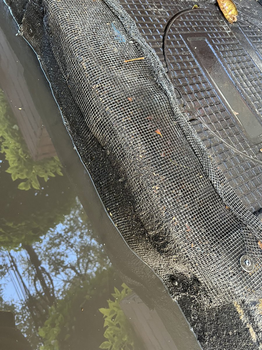 Sylvana L. Meaney tweet media