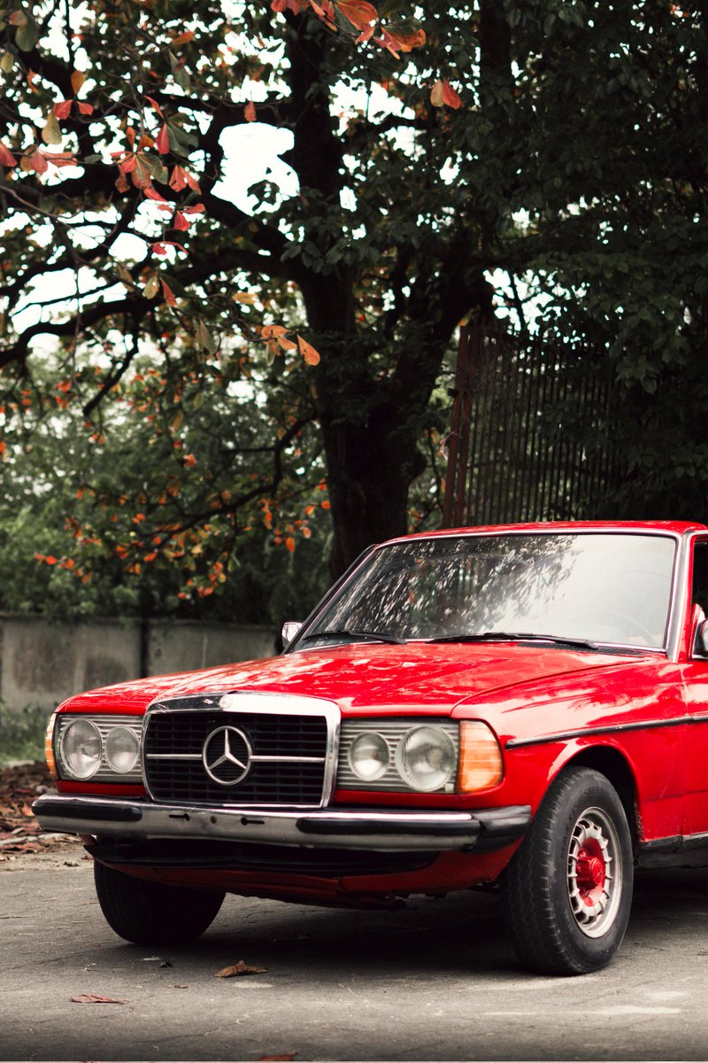 simplyFera's tweet image. Mercedes 🔴
