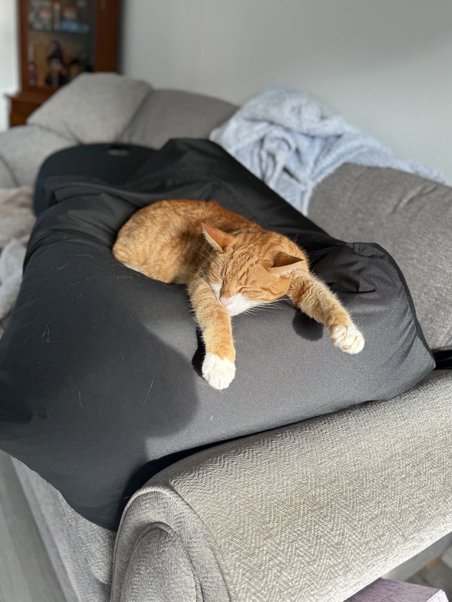 Invisshadows86's tweet photo. Its been big chores day so not much reading done! Had my βhelperβ helping me take a long time π whilst doing chores Iβve discovered a few books and magazines I need to get finished! So might do that for #ocTBR π
Excited for @charliemackesy talk in Chester tomorrow evening! Eeek https://t.co/CGKWOxBS89