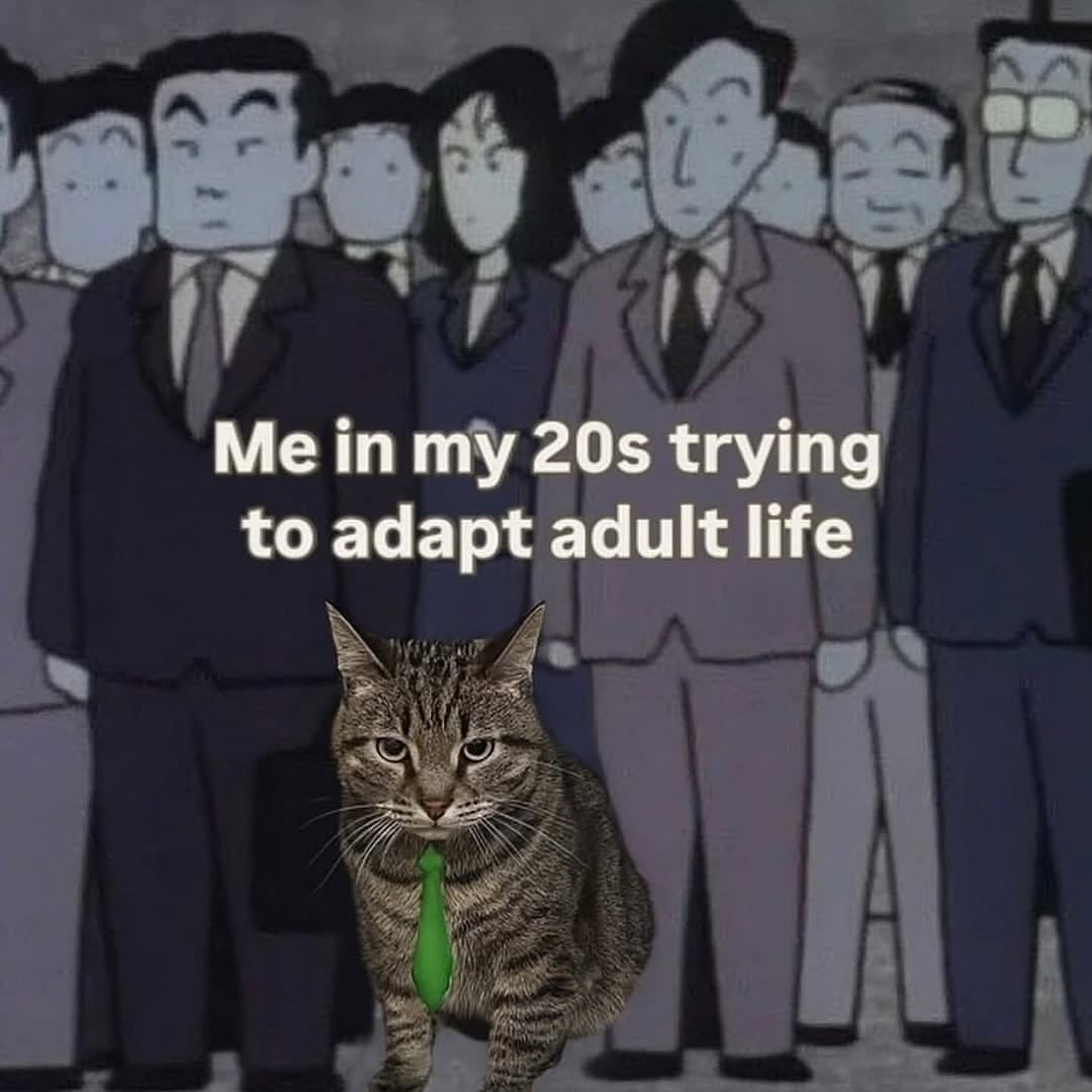 smol silly cat tweet media