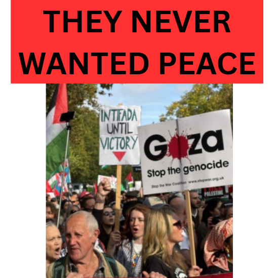 lelemSLP's tweet image. Everyone knows now - these people never wanted peace. &quot;Free Palestine&quot; is a fake movement. They gaslighted us all for two years (and before that - for decades) about &quot;children in Gaza&quot;, but no one wants more harm for children in Gaza than them.