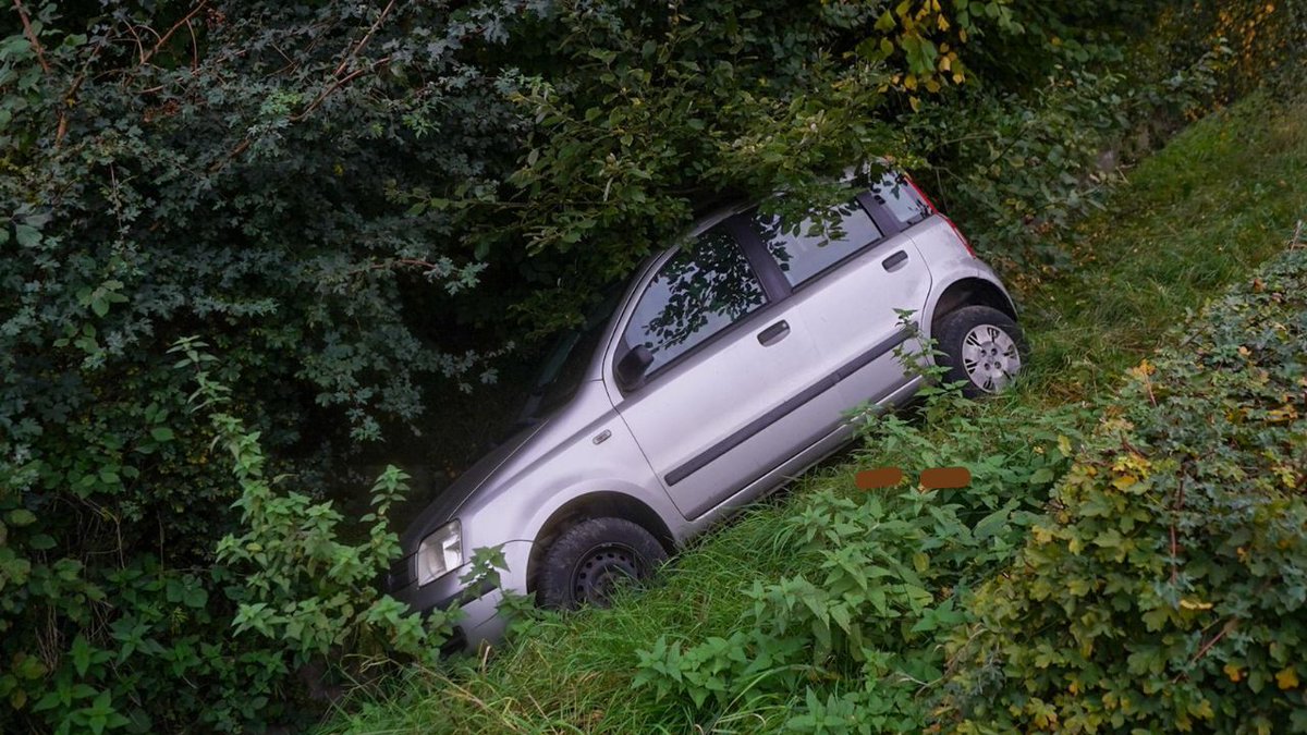 Auto belandt in greppel langs N281 bij Nijswiller