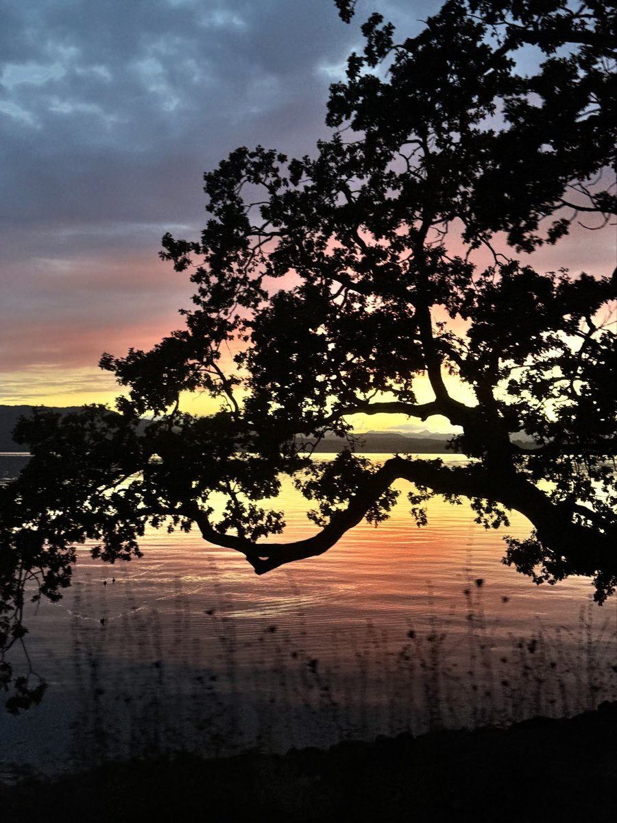 alyssak_ugc's tweet photo. Happy Thanksgiving weekend to my fellow Canadians here! 

Wishing you all a wonderful Thanksgiving with loved ones ✨

📍Vancouver Island

#canadaugc #ugccommunity #canadiancontentcreators https://t.co/CNVAQ7qnWR