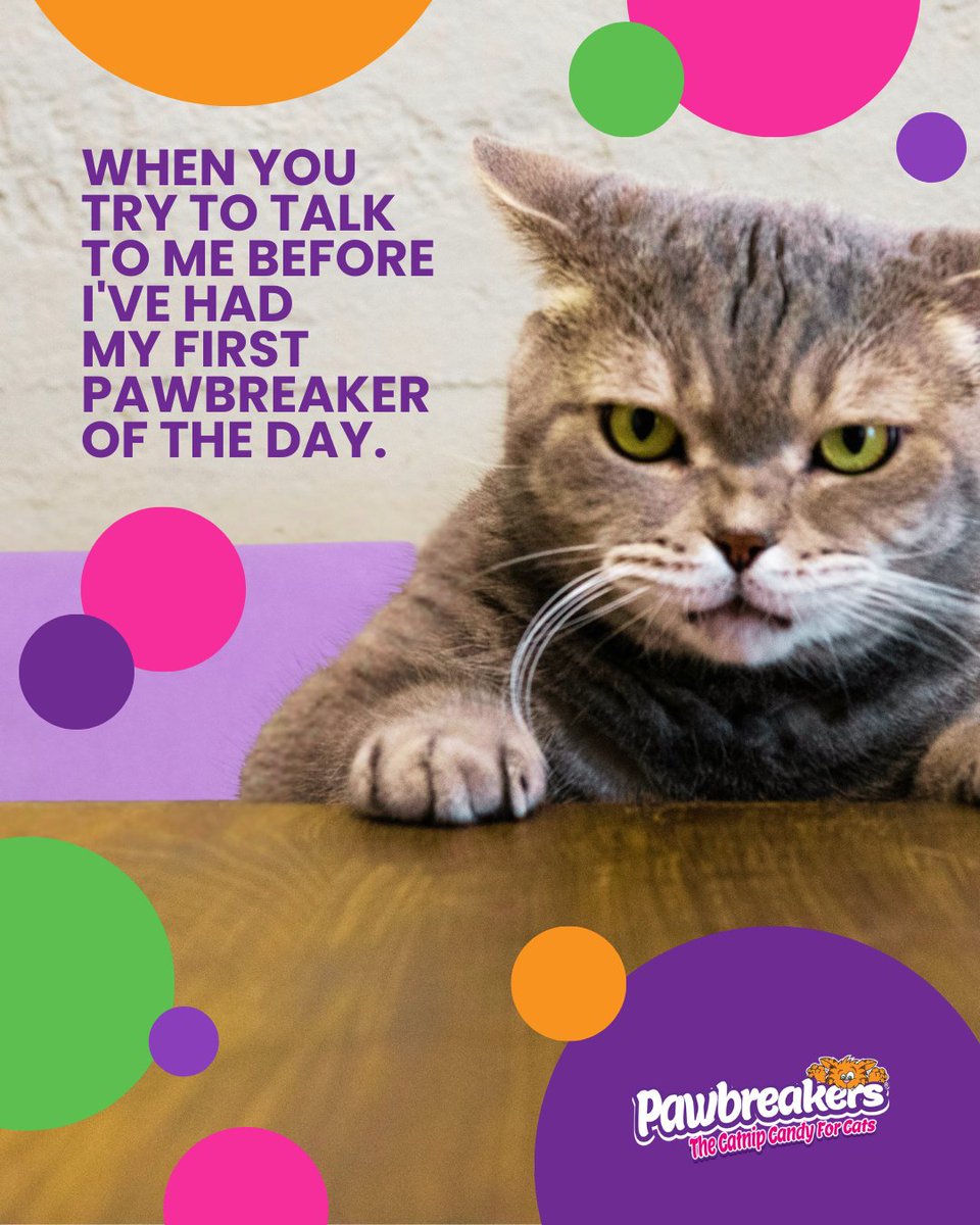 MrCatnip_222's tweet image. Not a morning cat? Same here. Give me my Pawbreaker first, and we can negotiate our daily plans. 😹☕
#pawbreakers #catniptoy #thegoodstuff #favoritememes #funnycatmeme #funnycatmemes
wix.to/E2ISDXi