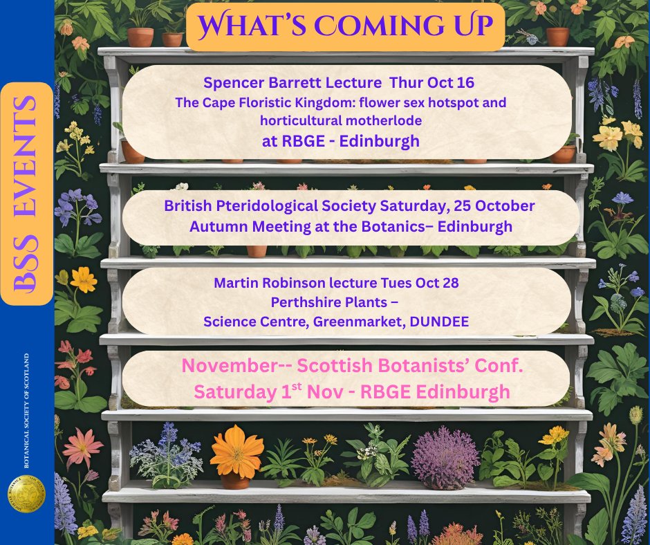 Bot Soc Scot tweet media