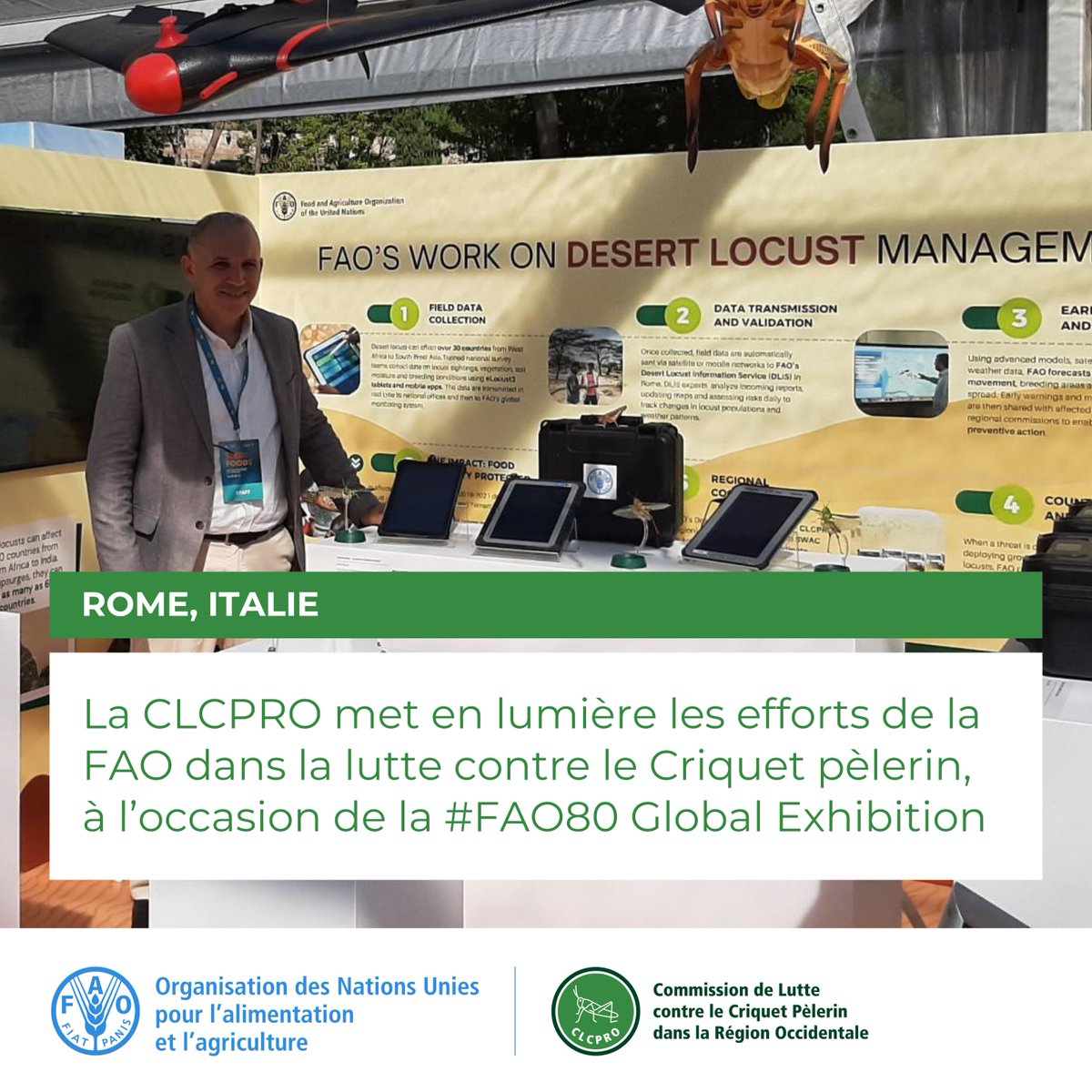 FAOCLCPRO's tweet photo. 🌍 La #CLCPRO participe à la #FAO80 Global Exhibition à Rome, pour présenter les efforts de la FAO dans la lutte contre le #CriquetPèlerin.

💡 Innovation, coopération et prévention au service de systèmes agroalimentaires durables.

#FAO #SécuritéAlimentaire https://t.co/dgR4E17NoX