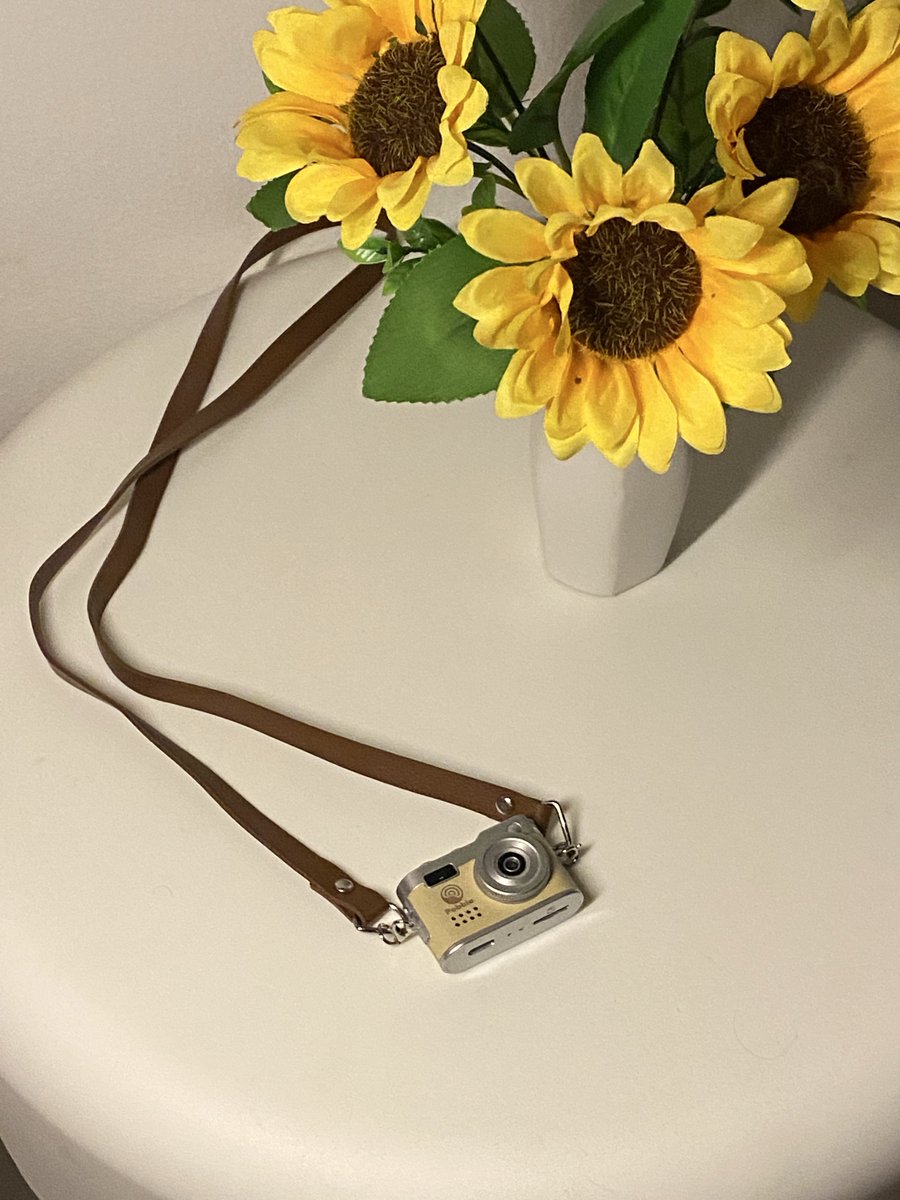 yoohooyeehee13's tweet image. ไอ้จิ๋วววว #pebble #nelna #minicamera