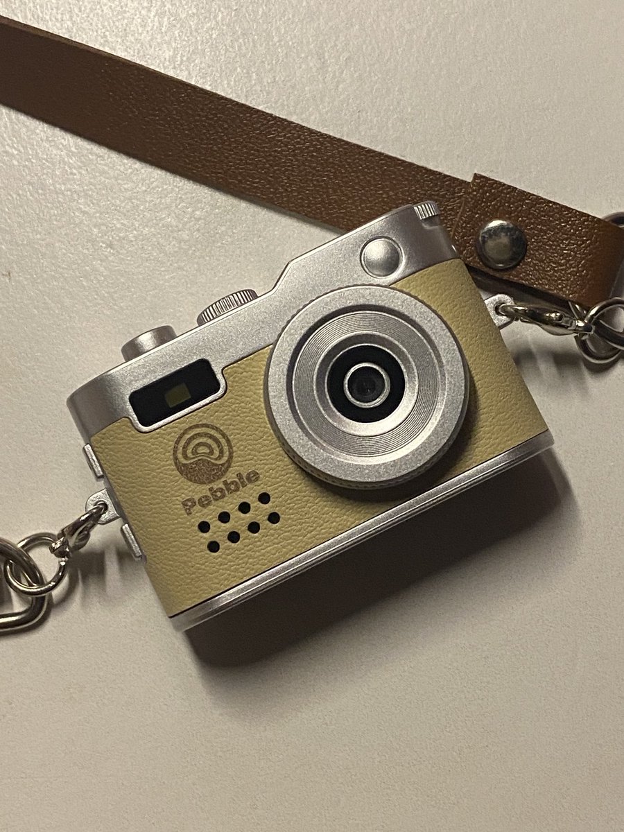 yoohooyeehee13's tweet image. ไอ้จิ๋วววว #pebble #nelna #minicamera
