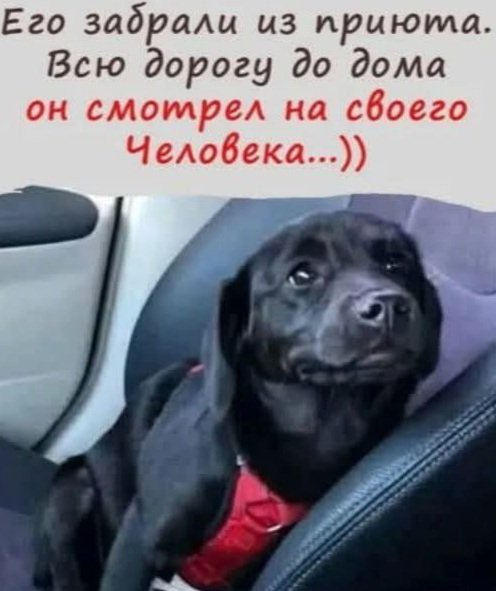 Роман Ухалов tweet media