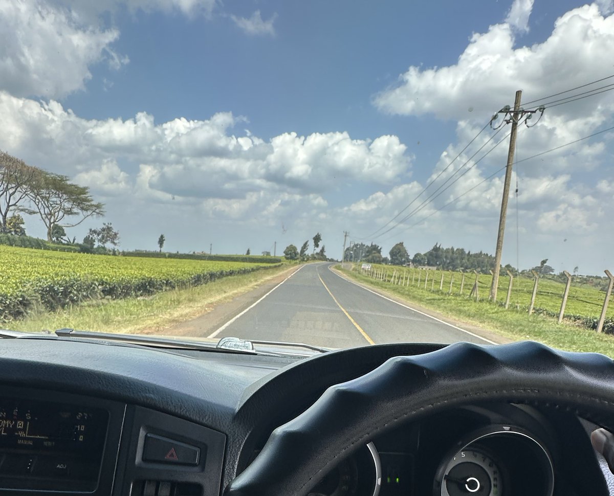 polo_kimanii's tweet image. The men who renounced their father’s honor to go and call a conman ‘Baba’ are now lamenting that Central kenya is more tarmacked than western and Nyanza. That, is the price you pay for ignorance. The price sheep pay for blindly following the butcher to the slaughterhouse,even…